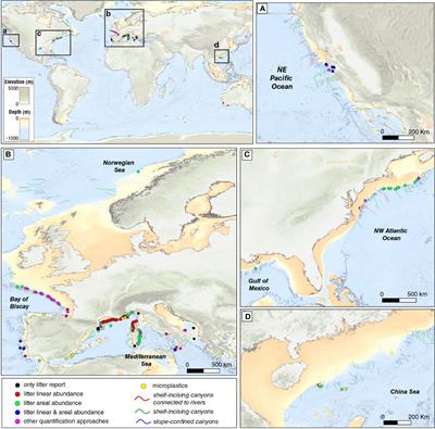 Transport and accumulation of litter in submarine canyons: a geoscience perspective